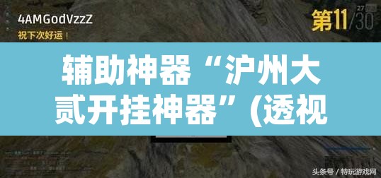 辅助神器“沪州大贰开挂神器	”(透视挂)辅助透视教程