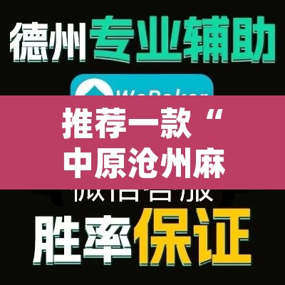 推荐一款“中原沧州麻将有挂吗”(透视挂)辅助透视教程
