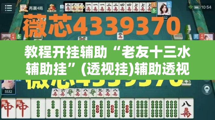 教程开挂辅助“老友十三水辅助挂	”(透视挂)辅助透视教程