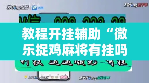 教程开挂辅助“微乐捉鸡麻将有挂吗”(透视挂)辅助透视教程