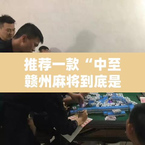 推荐一款“中至赣州麻将到底是有挂吗”(透视挂)辅助透视教程
