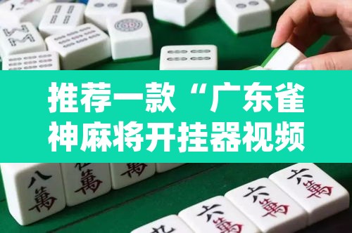 推荐一款“广东雀神麻将开挂器视频教程”(透视挂)辅助透视教程