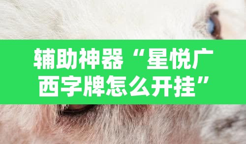 辅助神器“星悦广西字牌怎么开挂”(透视挂)辅助透视教程