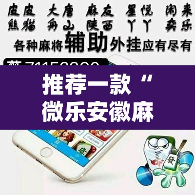 推荐一款“微乐安徽麻将万能开挂器”(透视挂)辅助透视教程