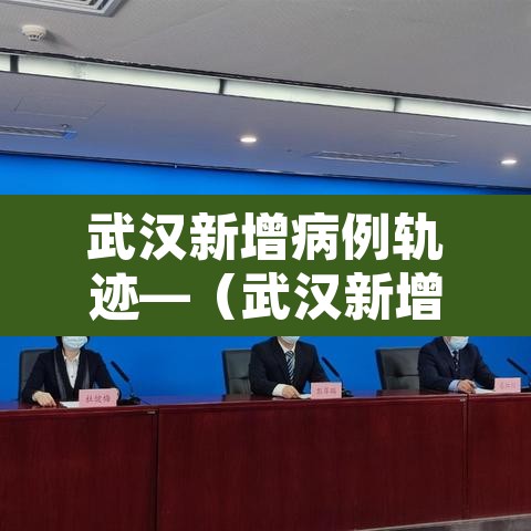 武汉新增病例轨迹—（武汉新增病例报告）