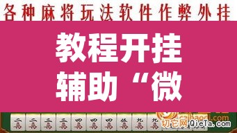 教程开挂辅助“微乐广西麻将万能开挂器通用版”(透视挂)辅助透视教程
