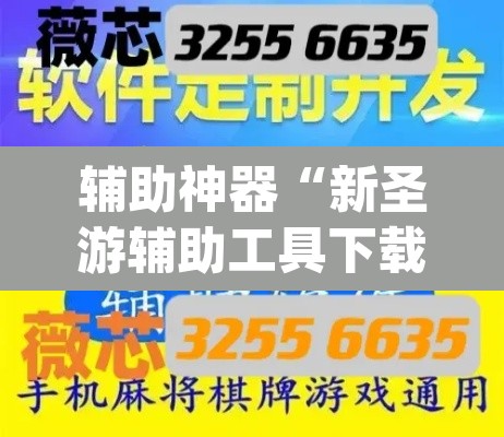 辅助神器“新圣游辅助工具下载”(透视挂)辅助透视教程