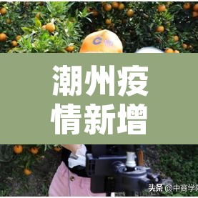 潮州疫情新增 → 潮州疫情最新