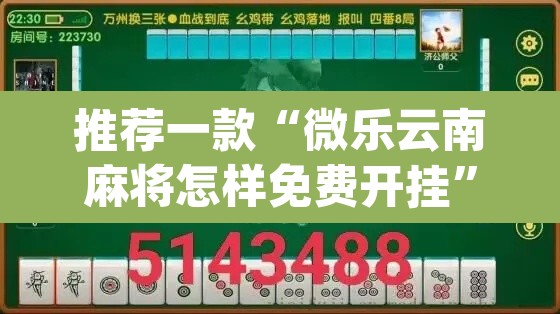 推荐一款“微乐云南麻将怎样免费开挂”(透视挂)辅助透视教程
