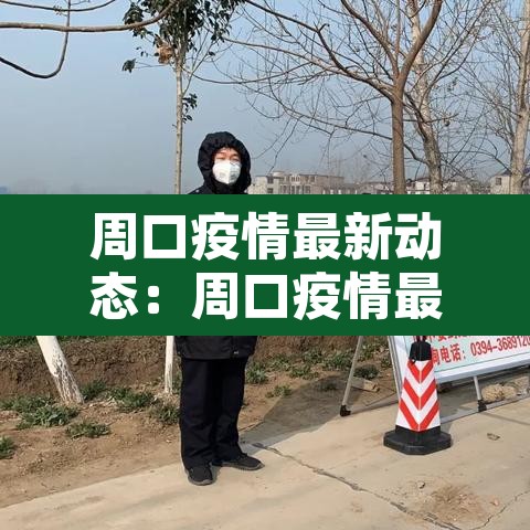 周口疫情最新动态：周口疫情最新动态实时