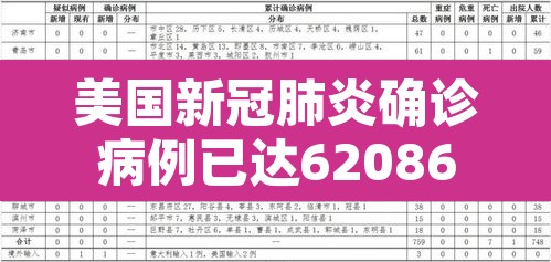 美国新冠肺炎确诊病例已达62086例›美国新冠肺炎确诊病例超过2556万