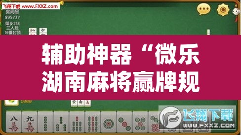 辅助神器“微乐湖南麻将赢牌规律是啥”(透视挂)辅助透视教程