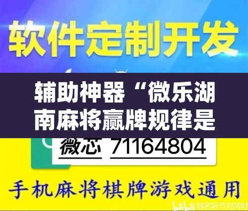 辅助神器“微乐湖南麻将赢牌规律是啥”(透视挂)辅助透视教程