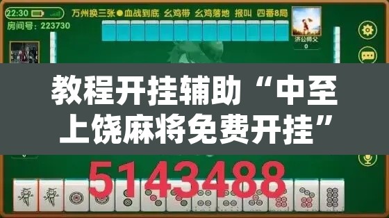教程开挂辅助“中至上饶麻将免费开挂”(透视挂)辅助透视教程