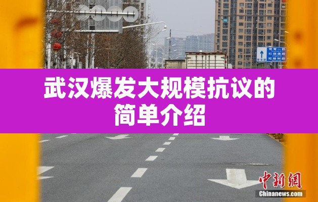武汉爆发大规模抗议的简单介绍