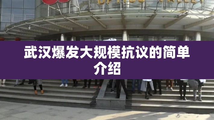 武汉爆发大规模抗议的简单介绍