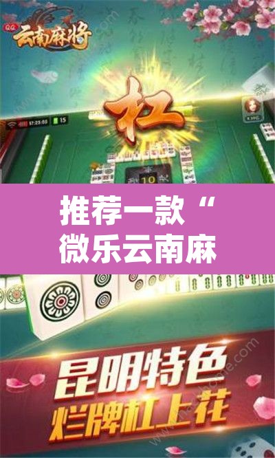 推荐一款“微乐云南麻将可以开挂吗	”(透视挂)辅助透视教程