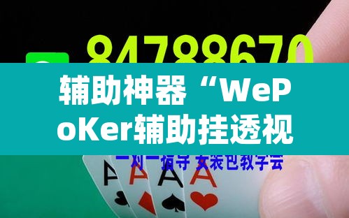 辅助神器“WePoKer辅助挂透视软件”(透视挂)辅助透视教程