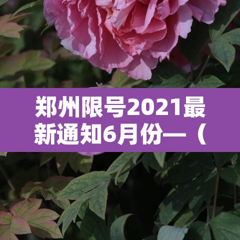 郑州限号2021最新通知6月份—（郑州限号2021限号时间）