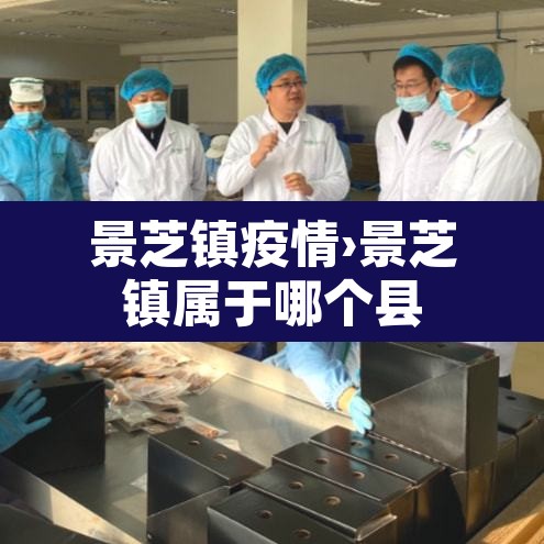 景芝镇疫情›景芝镇属于哪个县