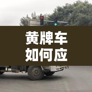 黄牌车如何应对限行拍照›黄牌限行的地方通过要扣几分