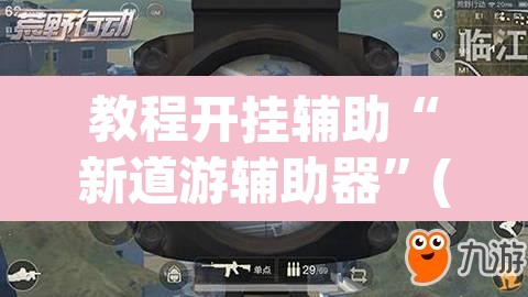 教程开挂辅助“新道游辅助器”(透视)其实确实有挂