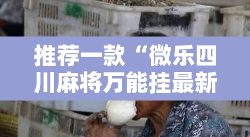推荐一款“微乐四川麻将万能挂最新版	”开挂辅助脚本+详细开挂安装教程