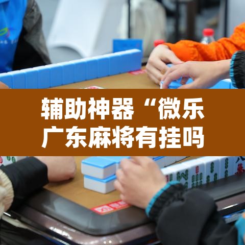辅助神器“微乐广东麻将有挂吗”(透视挂)辅助透视教程