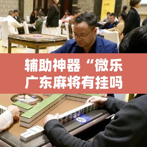 辅助神器“微乐广东麻将有挂吗”(透视挂)辅助透视教程