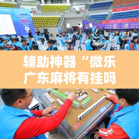 辅助神器“微乐广东麻将有挂吗	”(透视挂)辅助透视教程