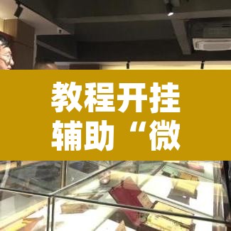 教程开挂辅助“微乐安徽麻将万能开挂器通用版”其实确实有挂