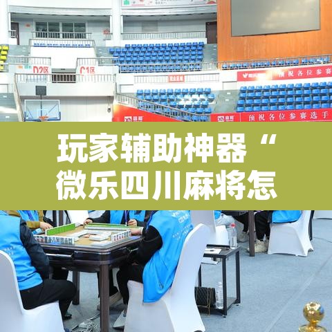 玩家辅助神器“微乐四川麻将怎么控制输赢	”其实确实有挂