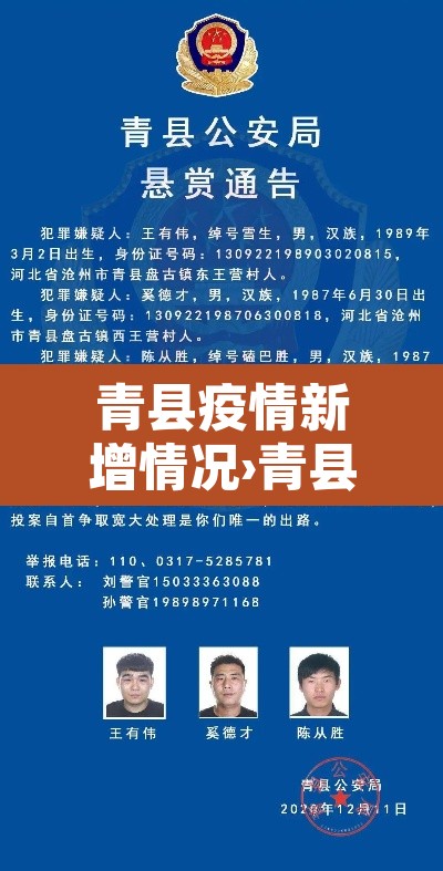 青县疫情新增情况›青县役情