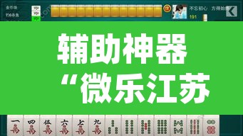 辅助神器“微乐江苏麻将开挂神器ios	”(透视挂)辅助透视教程