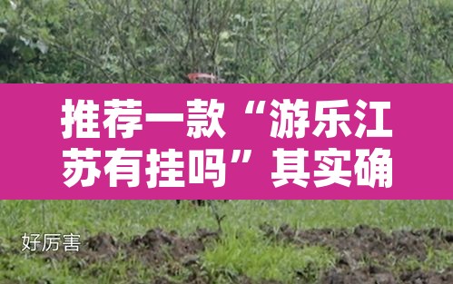 推荐一款“游乐江苏有挂吗”其实确实有挂