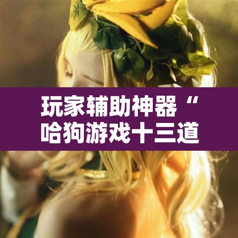 玩家辅助神器“哈狗游戏十三道怎么才能赢”其实确实有挂