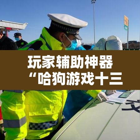 玩家辅助神器“哈狗游戏十三道怎么才能赢”其实确实有挂