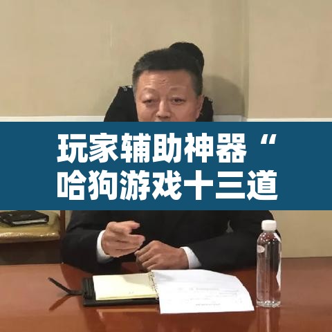 玩家辅助神器“哈狗游戏十三道怎么才能赢”其实确实有挂