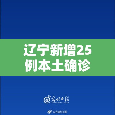 辽宁新增25例本土确诊：辽宁新增5例确诊病例 累计确诊69例20小时前0202