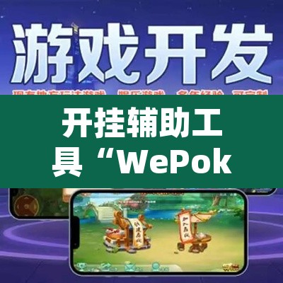玩家辅助神器“黑鹰众玩辅助挂”其实确实有挂