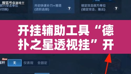 开挂辅助工具“德扑之星透视挂”开挂辅助脚本+详细开挂安装教程