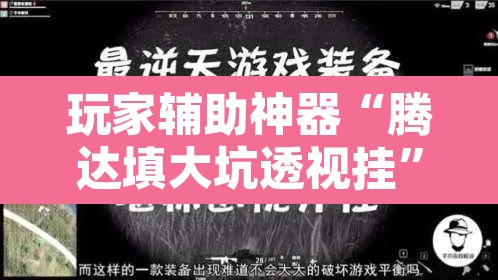 玩家辅助神器“腾达填大坑透视挂”其实确实有挂