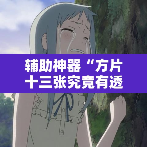 辅助神器“方片十三张究竟有透视挂吗”附辅助神器开挂脚本详细步骤
