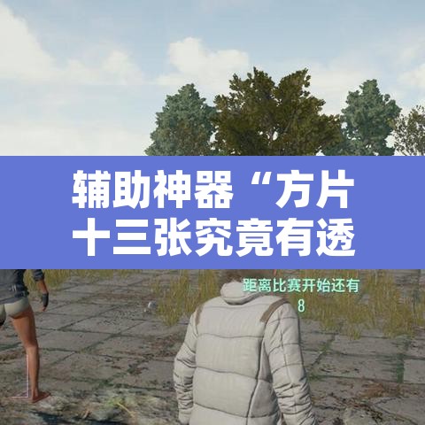 辅助神器“方片十三张究竟有透视挂吗	”附辅助神器开挂脚本详细步骤