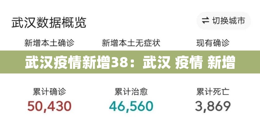 武汉疫情新增38：武汉 疫情 新增