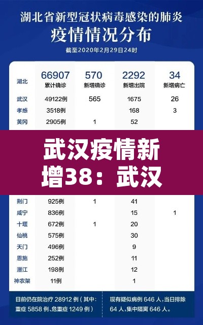 武汉疫情新增38：武汉 疫情 新增