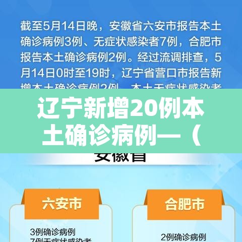 辽宁新增20例本土确诊病例—（辽宁新增20例本土确诊病例是哪里的）