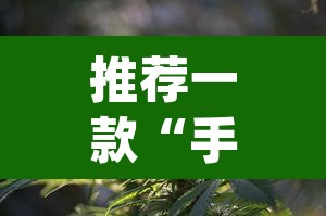 推荐一款“手机麻将必赢神软件”(透视挂)辅助透视教程