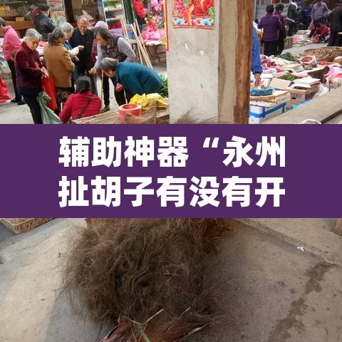 辅助神器“永州扯胡子有没有开挂器”(透视挂)辅助透视教程