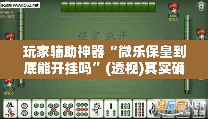 玩家辅助神器“微乐保皇到底能开挂吗”(透视)其实确实有挂